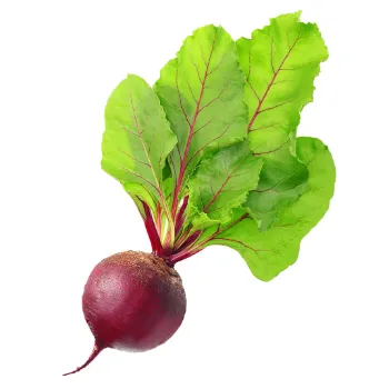 Fresh Beetroot